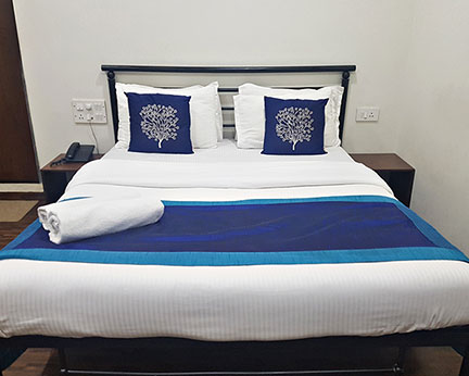 Hotel Kumkum-Room-2